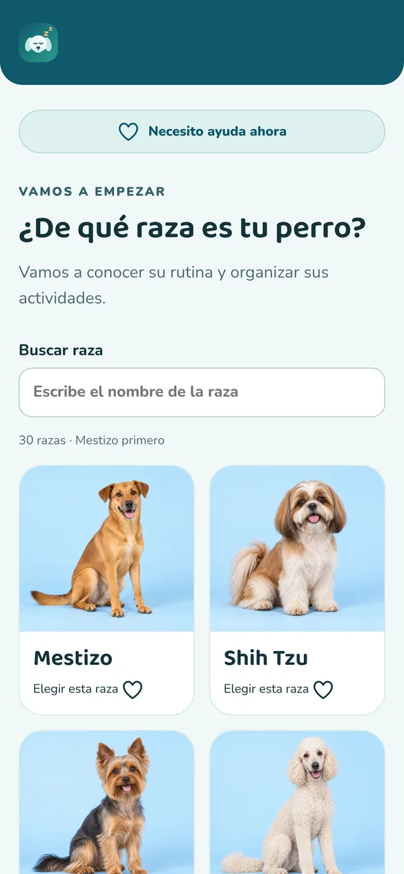 Pantalla real: perfil y raza del perro
