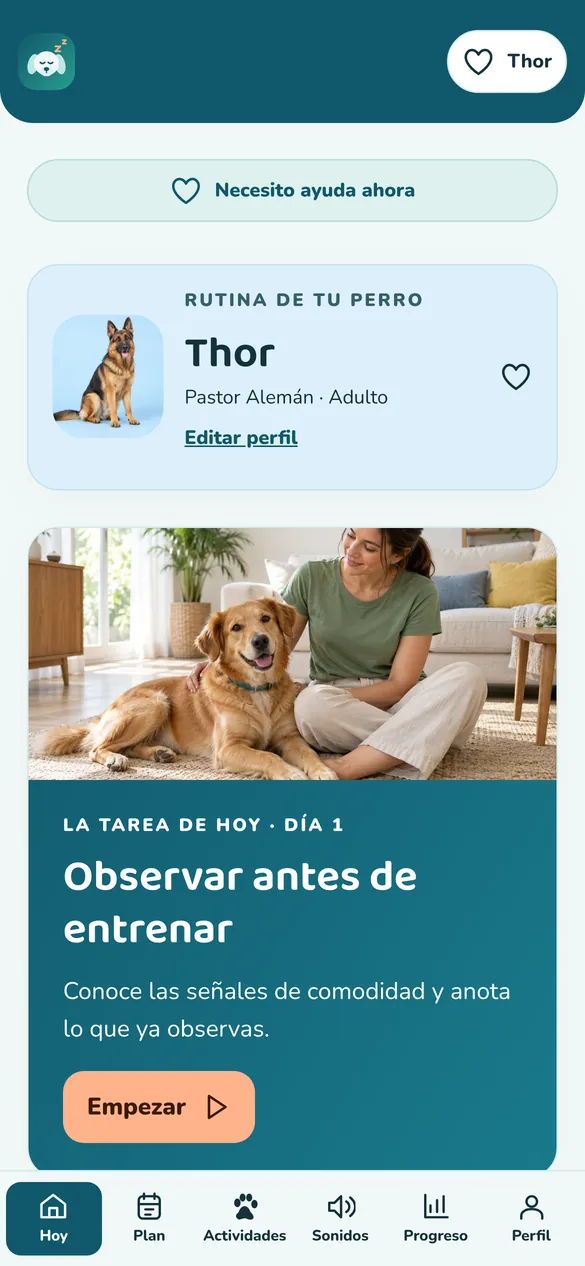 Pantalla de Dog Calm Studio