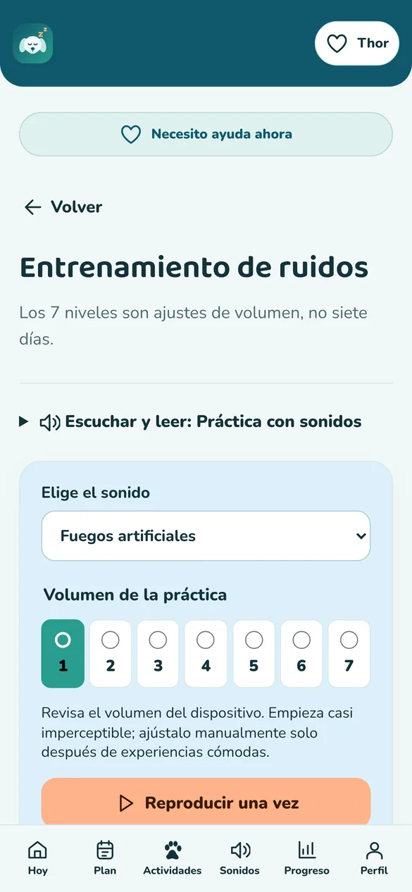 Pantalla real: entrenamiento de ruidos