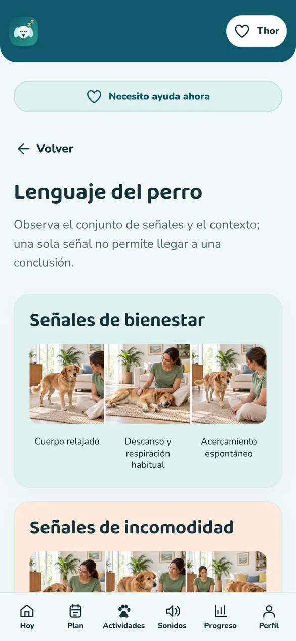 Pantalla real: lenguaje del perro